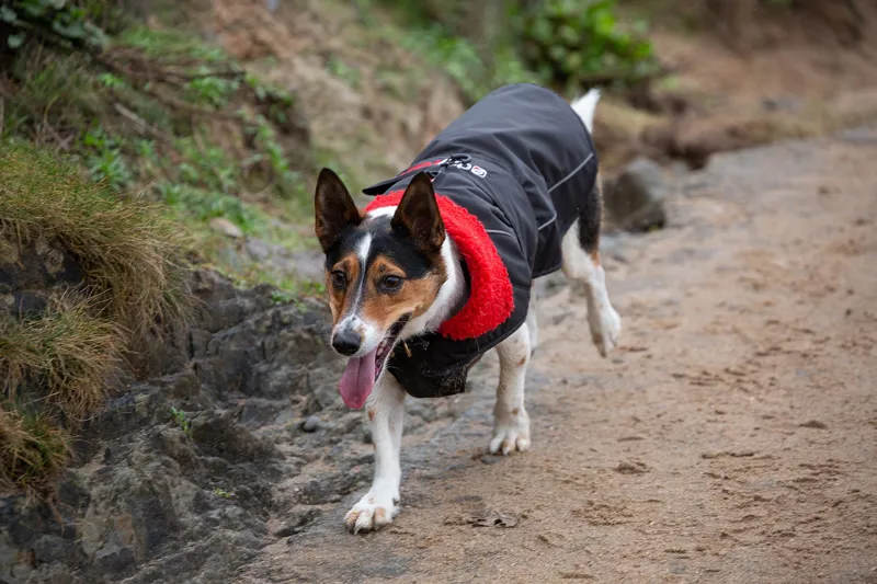 Dryrobe Dog Coat Black/Red-7